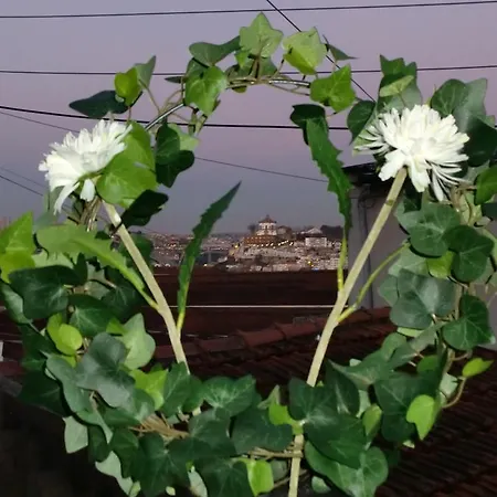 Mira Porto House Feriehus