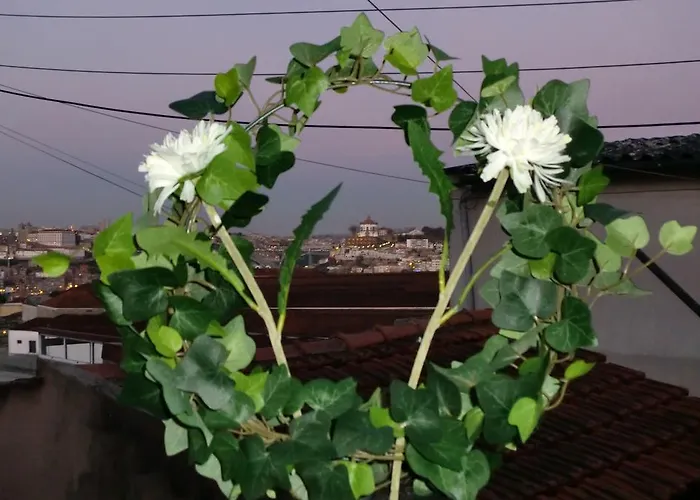 Mira House Holiday home